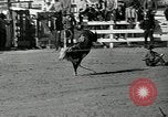 Standbild Rodeo Sterne Ventura California USA, 1935, aus Sekunde 58 historischem Filmmaterial Videoclip 65675037670