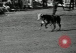 Standbild Rodeo Sterne Ventura California USA, 1935, aus Sekunde 62 historischem Filmmaterial Videoclip 65675037670