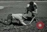 Image of goeduck clam digging Tacoma Washington USA, 1935, second 26 stock footage video 65675037671
