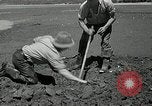 Image of goeduck clam digging Tacoma Washington USA, 1935, second 27 stock footage video 65675037671