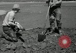 Image of goeduck clam digging Tacoma Washington USA, 1935, second 29 stock footage video 65675037671
