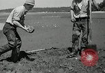 Image of goeduck clam digging Tacoma Washington USA, 1935, second 30 stock footage video 65675037671