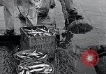 Standbild Roch Kelso Washington USA, 1933, aus Sekunde 44 historischem Filmmaterial Videoclip 65675037677