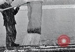 Standbild Roch Kelso Washington USA, 1933, aus Sekunde 51 historischem Filmmaterial Videoclip 65675037677