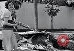 Standbild Hollywood Stars Montage einer Stichsäge Puzzle Universal City California USA, 1933, aus Sekunde 20 historischem Filmmaterial Videoclip 65675037678