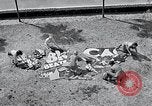 Standbild Hollywood Stars Montage einer Stichsäge Puzzle Universal City California USA, 1933, aus Sekunde 35 historischem Filmmaterial Videoclip 65675037678
