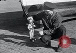 Image of model marine diver Washington DC USA, 1933, second 22 stock footage video 65675037682