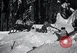 Standbild Blizzard Mount Stillman California USA, 1933, aus Sekunde 58 historischem Filmmaterial Videoclip 65675037684