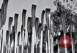 Standbild University of California rudern Crew Oakland California USA, 1933, aus Sekunde 16 historischem Filmmaterial Videoclip 65675037685