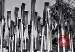 Standbild University of California rudern Crew Oakland California USA, 1933, aus Sekunde 18 historischem Filmmaterial Videoclip 65675037685