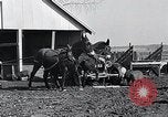 Standbild WH Holz Courtney Missouri USA, 1933, aus Sekunde 19 historischem Filmmaterial Videoclip 65675037686