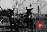 Standbild WH Holz Courtney Missouri USA, 1933, aus Sekunde 54 historischem Filmmaterial Videoclip 65675037686