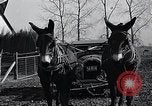 Standbild WH Holz Courtney Missouri USA, 1933, aus Sekunde 55 historischem Filmmaterial Videoclip 65675037686