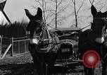 Standbild WH Holz Courtney Missouri USA, 1933, aus Sekunde 56 historischem Filmmaterial Videoclip 65675037686