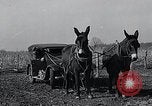 Standbild WH Holz Courtney Missouri USA, 1933, aus Sekunde 58 historischem Filmmaterial Videoclip 65675037686