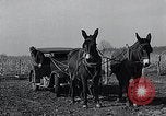 Standbild WH Holz Courtney Missouri USA, 1933, aus Sekunde 59 historischem Filmmaterial Videoclip 65675037686