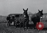 Standbild WH Holz Courtney Missouri USA, 1933, aus Sekunde 60 historischem Filmmaterial Videoclip 65675037686
