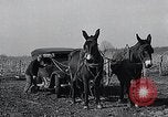 Standbild WH Holz Courtney Missouri USA, 1933, aus Sekunde 61 historischem Filmmaterial Videoclip 65675037686