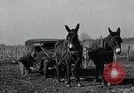 Standbild WH Holz Courtney Missouri USA, 1933, aus Sekunde 62 historischem Filmmaterial Videoclip 65675037686