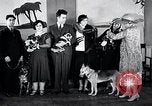Standbild Hund Helden New York United States USA, 1932, aus Sekunde 15 historischem Filmmaterial Videoclip 65675037696
