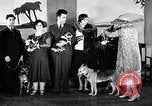 Standbild Hund Helden New York United States USA, 1932, aus Sekunde 16 historischem Filmmaterial Videoclip 65675037696