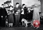 Standbild Hund Helden New York United States USA, 1932, aus Sekunde 17 historischem Filmmaterial Videoclip 65675037696