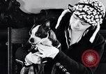 Standbild Hund Helden New York United States USA, 1932, aus Sekunde 19 historischem Filmmaterial Videoclip 65675037696