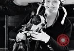 Standbild Hund Helden New York United States USA, 1932, aus Sekunde 21 historischem Filmmaterial Videoclip 65675037696