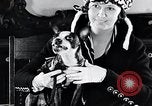Standbild Hund Helden New York United States USA, 1932, aus Sekunde 23 historischem Filmmaterial Videoclip 65675037696