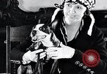 Standbild Hund Helden New York United States USA, 1932, aus Sekunde 24 historischem Filmmaterial Videoclip 65675037696