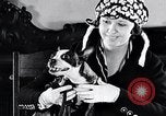 Standbild Hund Helden New York United States USA, 1932, aus Sekunde 25 historischem Filmmaterial Videoclip 65675037696