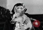 Standbild Hund Helden New York United States USA, 1932, aus Sekunde 31 historischem Filmmaterial Videoclip 65675037696