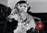 Standbild Hund Helden New York United States USA, 1932, aus Sekunde 32 historischem Filmmaterial Videoclip 65675037696