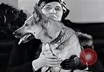Standbild Hund Helden New York United States USA, 1932, aus Sekunde 33 historischem Filmmaterial Videoclip 65675037696