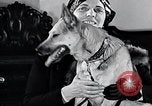 Standbild Hund Helden New York United States USA, 1932, aus Sekunde 35 historischem Filmmaterial Videoclip 65675037696