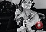Standbild Hund Helden New York United States USA, 1932, aus Sekunde 36 historischem Filmmaterial Videoclip 65675037696