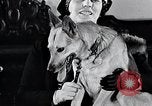 Standbild Hund Helden New York United States USA, 1932, aus Sekunde 37 historischem Filmmaterial Videoclip 65675037696