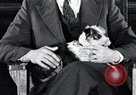 Standbild Hund Helden New York United States USA, 1932, aus Sekunde 45 historischem Filmmaterial Videoclip 65675037696