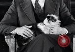 Standbild Hund Helden New York United States USA, 1932, aus Sekunde 46 historischem Filmmaterial Videoclip 65675037696
