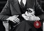 Standbild Hund Helden New York United States USA, 1932, aus Sekunde 47 historischem Filmmaterial Videoclip 65675037696
