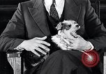Standbild Hund Helden New York United States USA, 1932, aus Sekunde 48 historischem Filmmaterial Videoclip 65675037696
