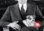 Standbild Hund Helden New York United States USA, 1932, aus Sekunde 50 historischem Filmmaterial Videoclip 65675037696