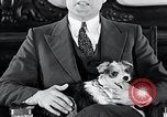 Standbild Hund Helden New York United States USA, 1932, aus Sekunde 51 historischem Filmmaterial Videoclip 65675037696
