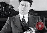 Standbild Hund Helden New York United States USA, 1932, aus Sekunde 52 historischem Filmmaterial Videoclip 65675037696