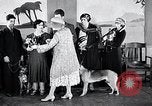 Standbild Hund Helden New York United States USA, 1932, aus Sekunde 57 historischem Filmmaterial Videoclip 65675037696