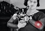 Standbild Hund Helden New York United States USA, 1932, aus Sekunde 61 historischem Filmmaterial Videoclip 65675037696