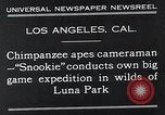 Image of Chimpanzee Los Angeles California USA, 1932, second 6 stock footage video 65675037700