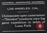 Image of Chimpanzee Los Angeles California USA, 1932, second 8 stock footage video 65675037700