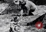 Image of Chimpanzee Los Angeles California USA, 1932, second 14 stock footage video 65675037700