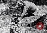 Image of Chimpanzee Los Angeles California USA, 1932, second 16 stock footage video 65675037700